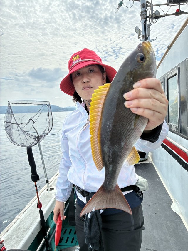 イサギ(イサキ)