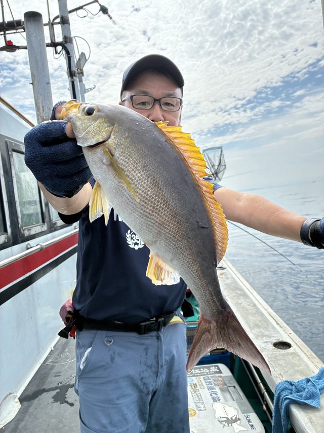 イサギ(イサキ)