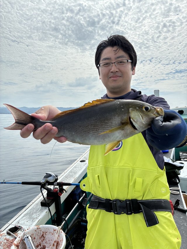 イサギ(イサキ)