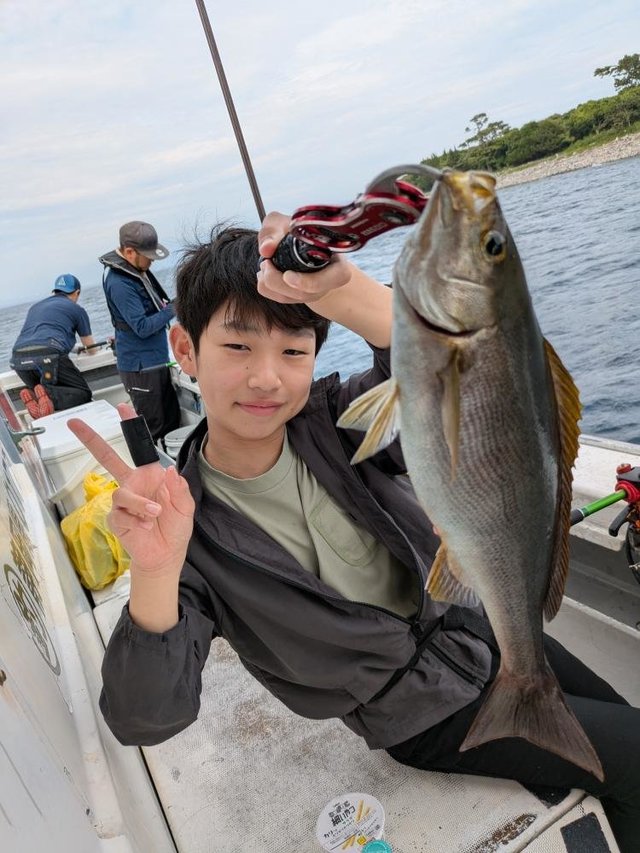 イサギ(イサキ)