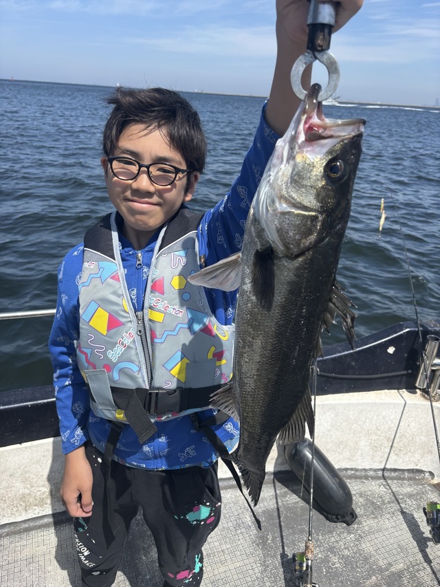 シーバス(スズキ)