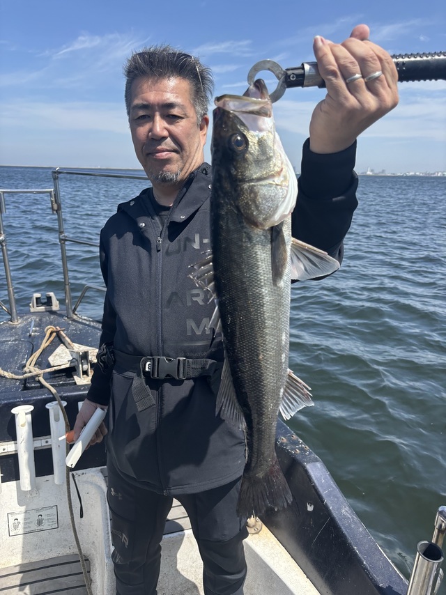 シーバス(スズキ)