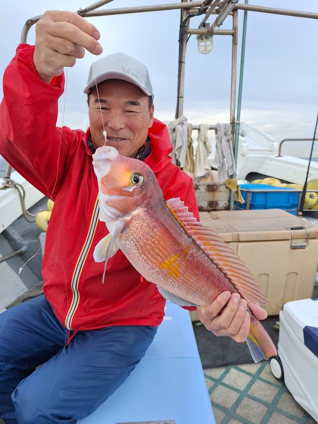 アマダイ(アカアマダイ)