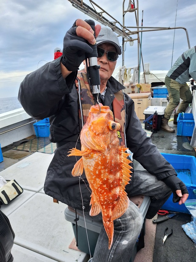 アラカブ(カサゴ)