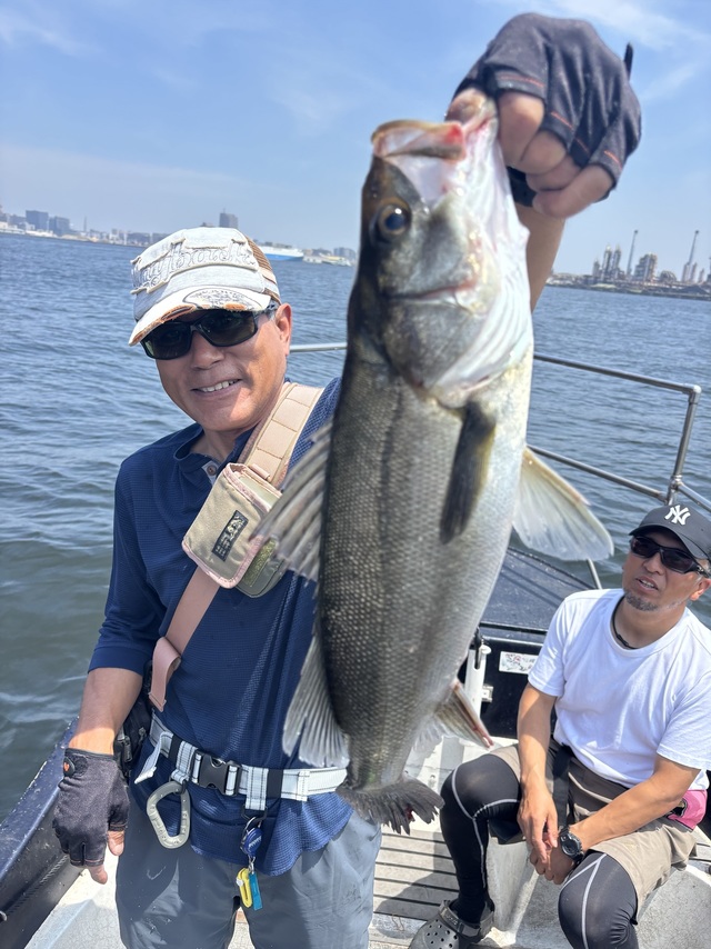 シーバス(スズキ)