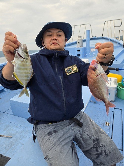 ハナダイ(チダイ)・カイワリ