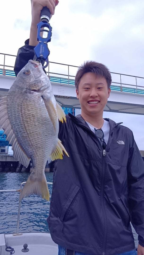 チヌ(クロダイ)