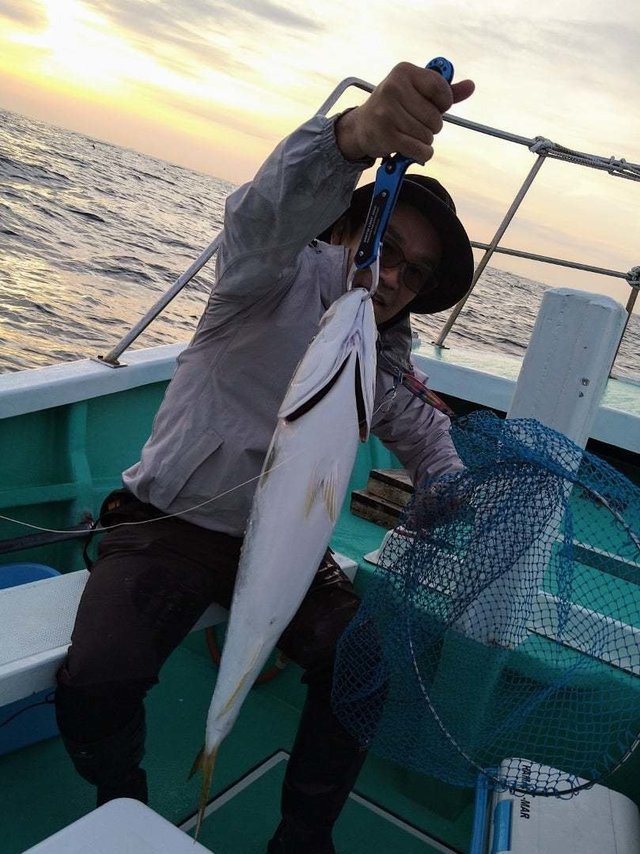 サンパク(ブリ)