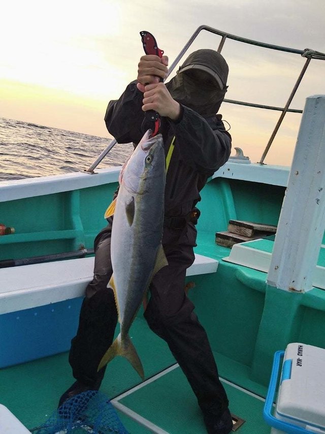 サンパク(ブリ)