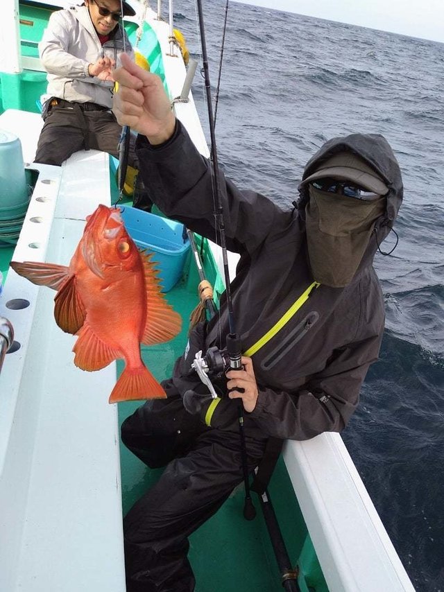 チカメキントキ