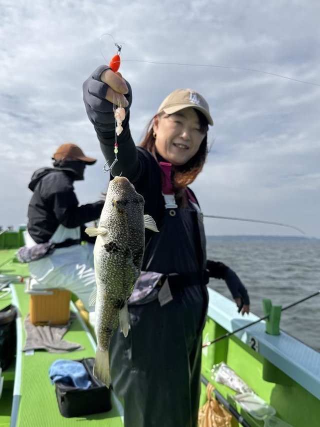 フグ(ショウサイフグ)