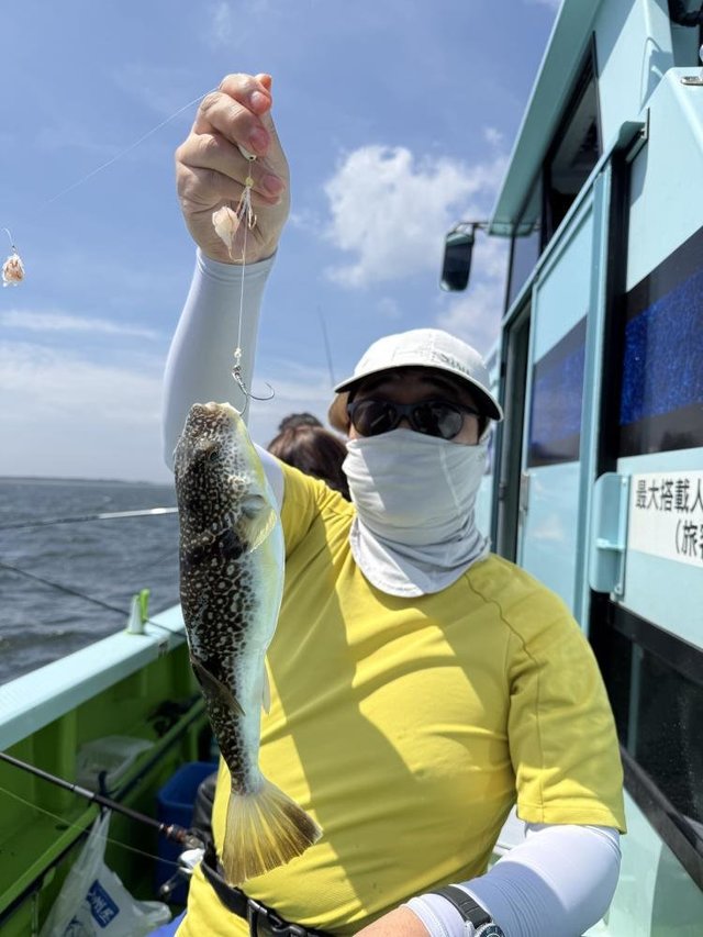 フグ(ショウサイフグ)