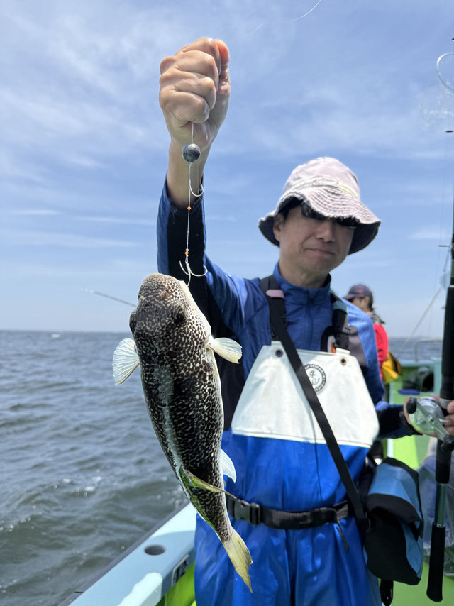 フグ(ショウサイフグ)