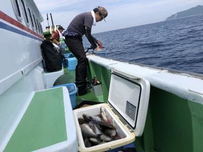 イサギ(イサキ)