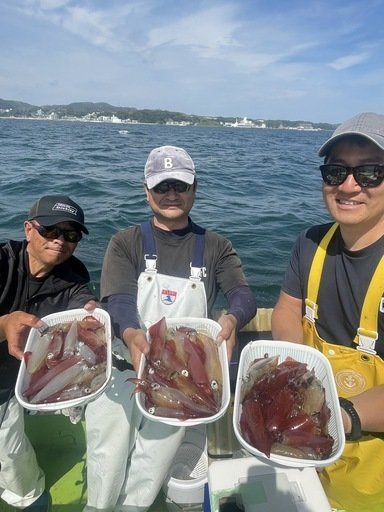 マルイカ(ケンサキイカ)