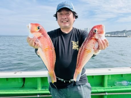 アマダイ(アカアマダイ)