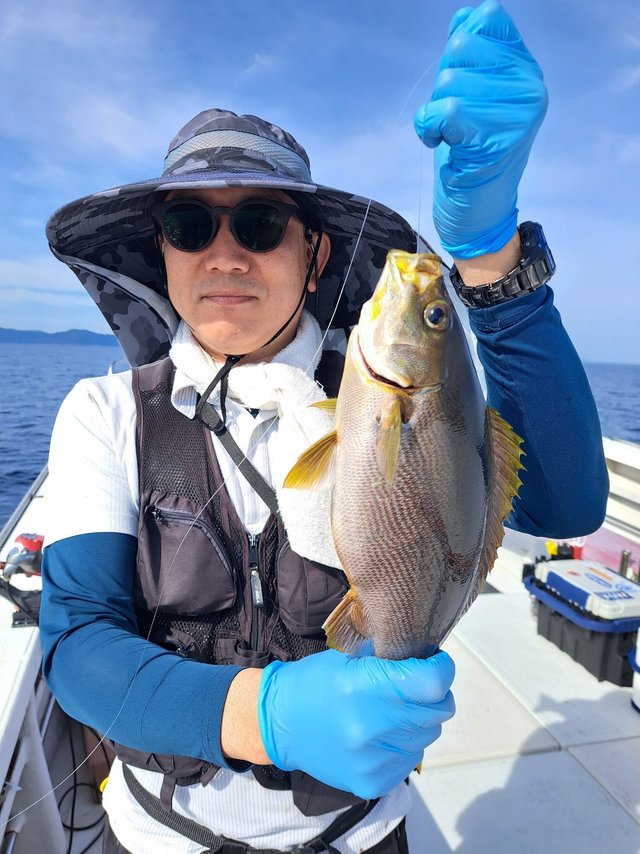 イサギ(イサキ)