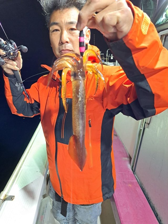 スルメ(スルメイカ)