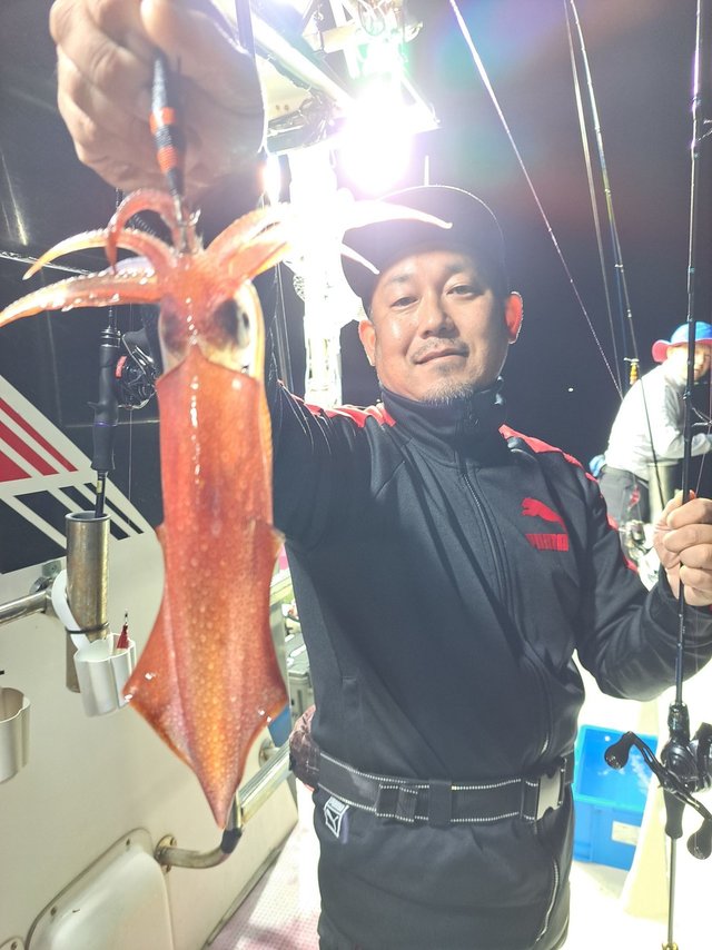 スルメ(スルメイカ)