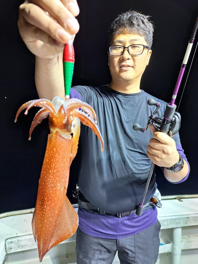 スルメ(スルメイカ)