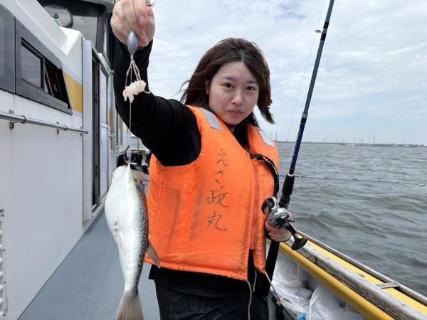 ショウサイフグ