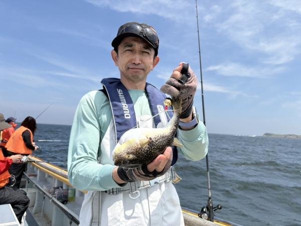 ショウサイフグ