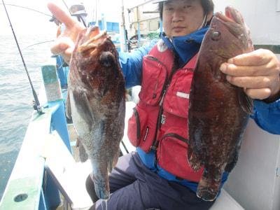 マハタ・メバル(ウスメバル)