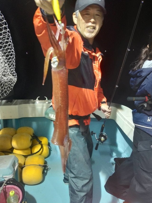 イカ(ヤリイカ)