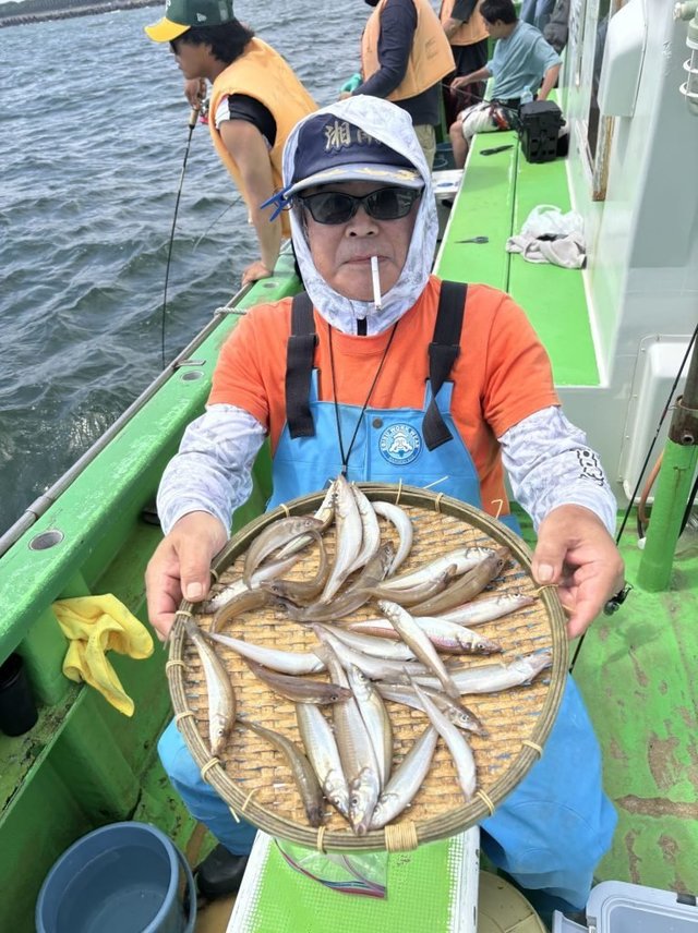 キス(シロギス)