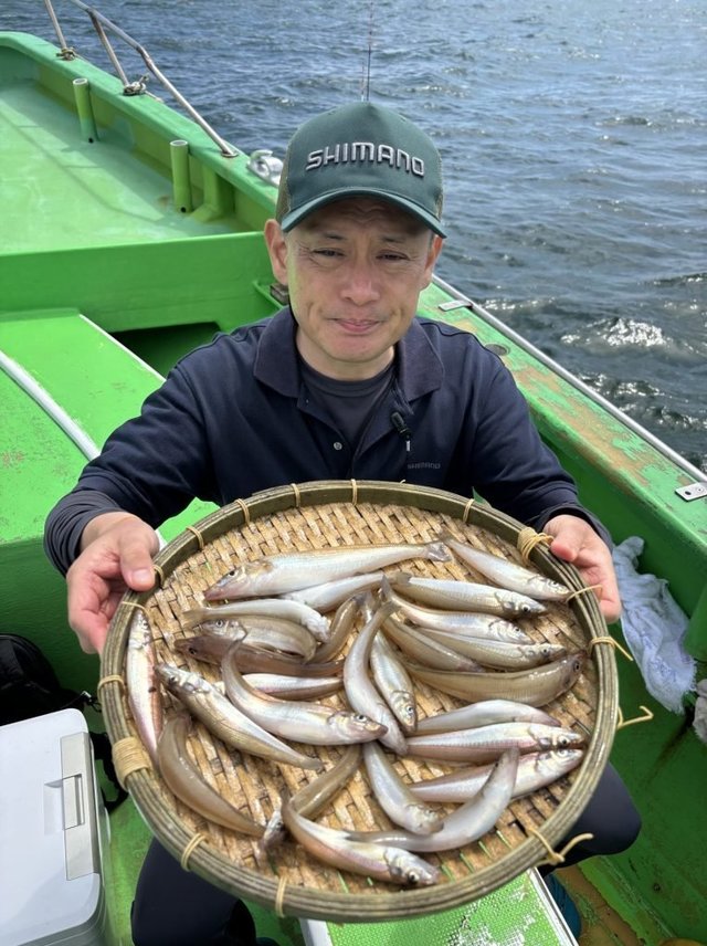 キス(シロギス)