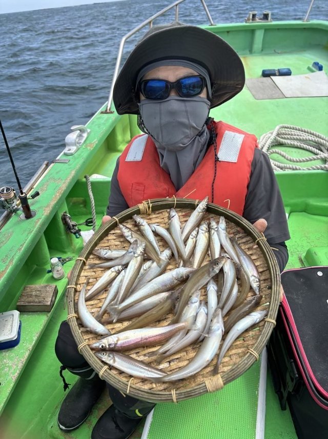 キス(シロギス)