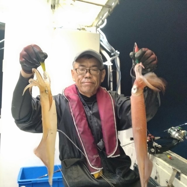 イカ(ケンサキイカ)