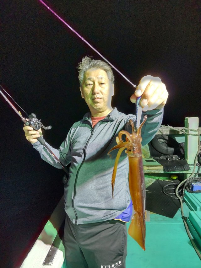 シロイカ(ケンサキイカ)