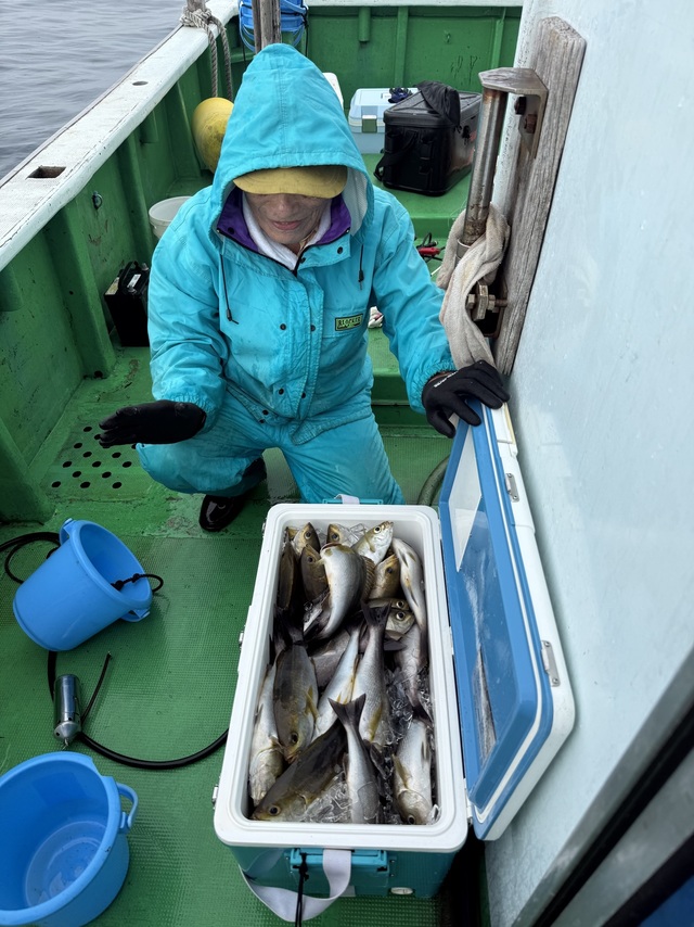 イサギ(イサキ)