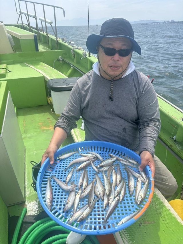 シロキス(シロギス)