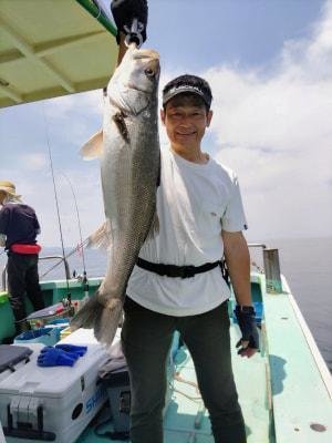 シーバス(スズキ)