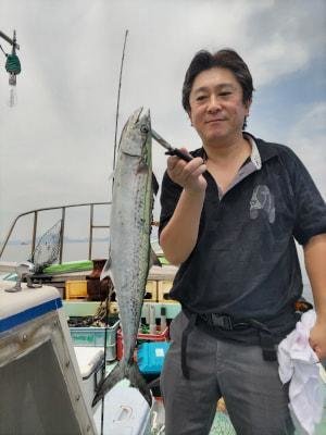 サゴシ(サワラ)