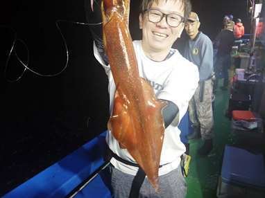 マイカ(ケンサキイカ)