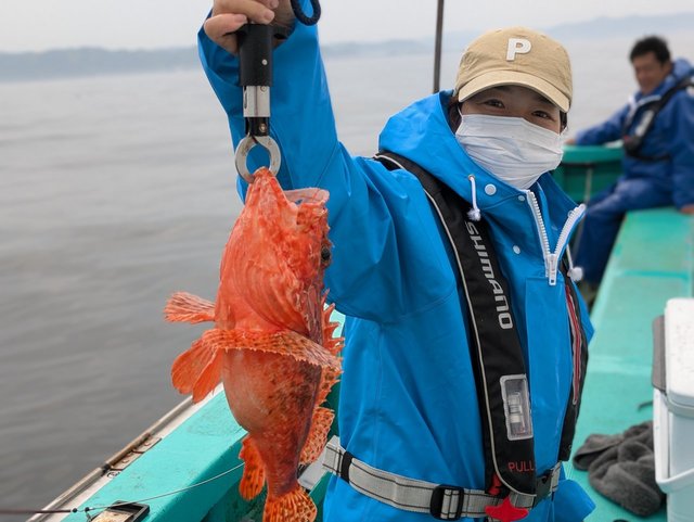 オニカサゴ(イズカサゴ)