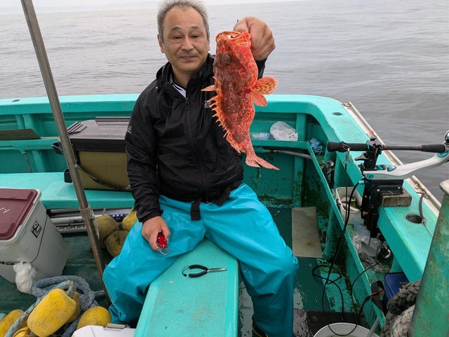 オニカサゴ(イズカサゴ)