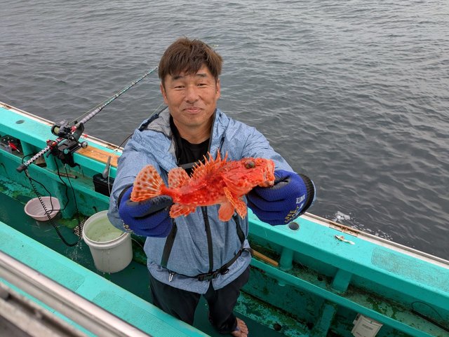 オニカサゴ(イズカサゴ)