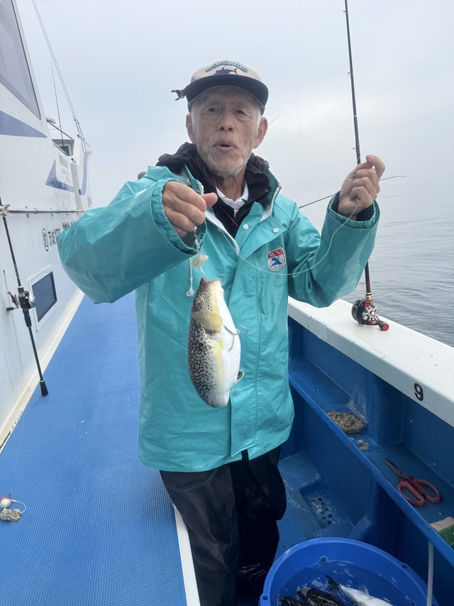 フグ(ショウサイフグ)