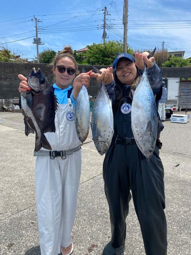 イシダイ・スマガツオ(スマ)