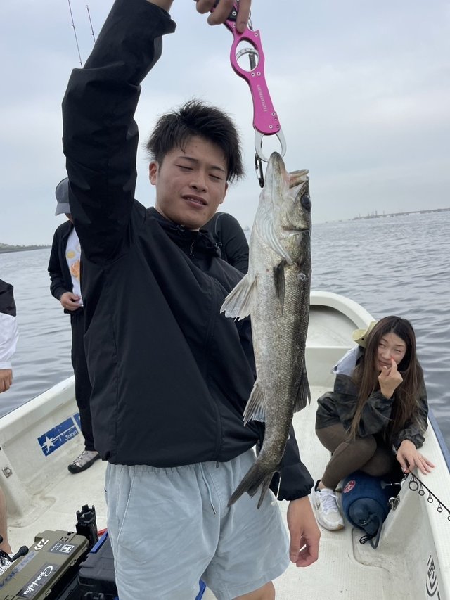 シーバス(スズキ)