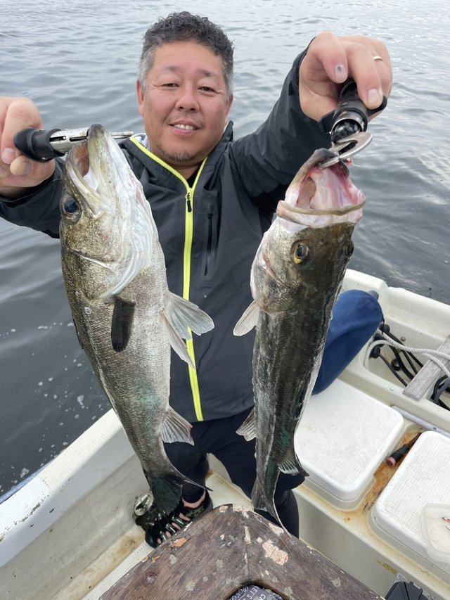 シーバス(スズキ)