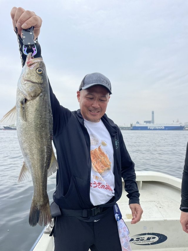 シーバス(スズキ)