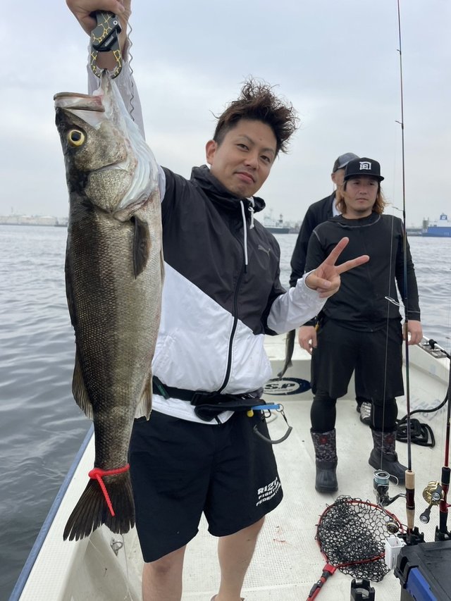 シーバス(スズキ)