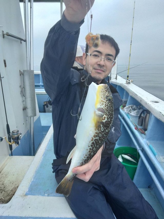 ショウサイフグ