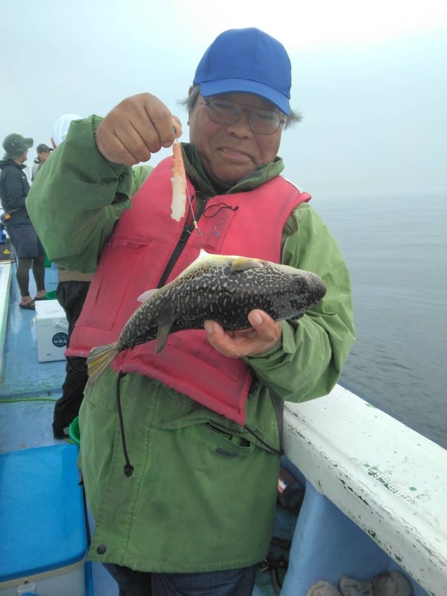 ショウサイフグ