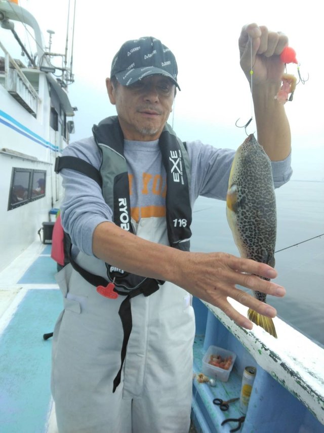 ショウサイフグ